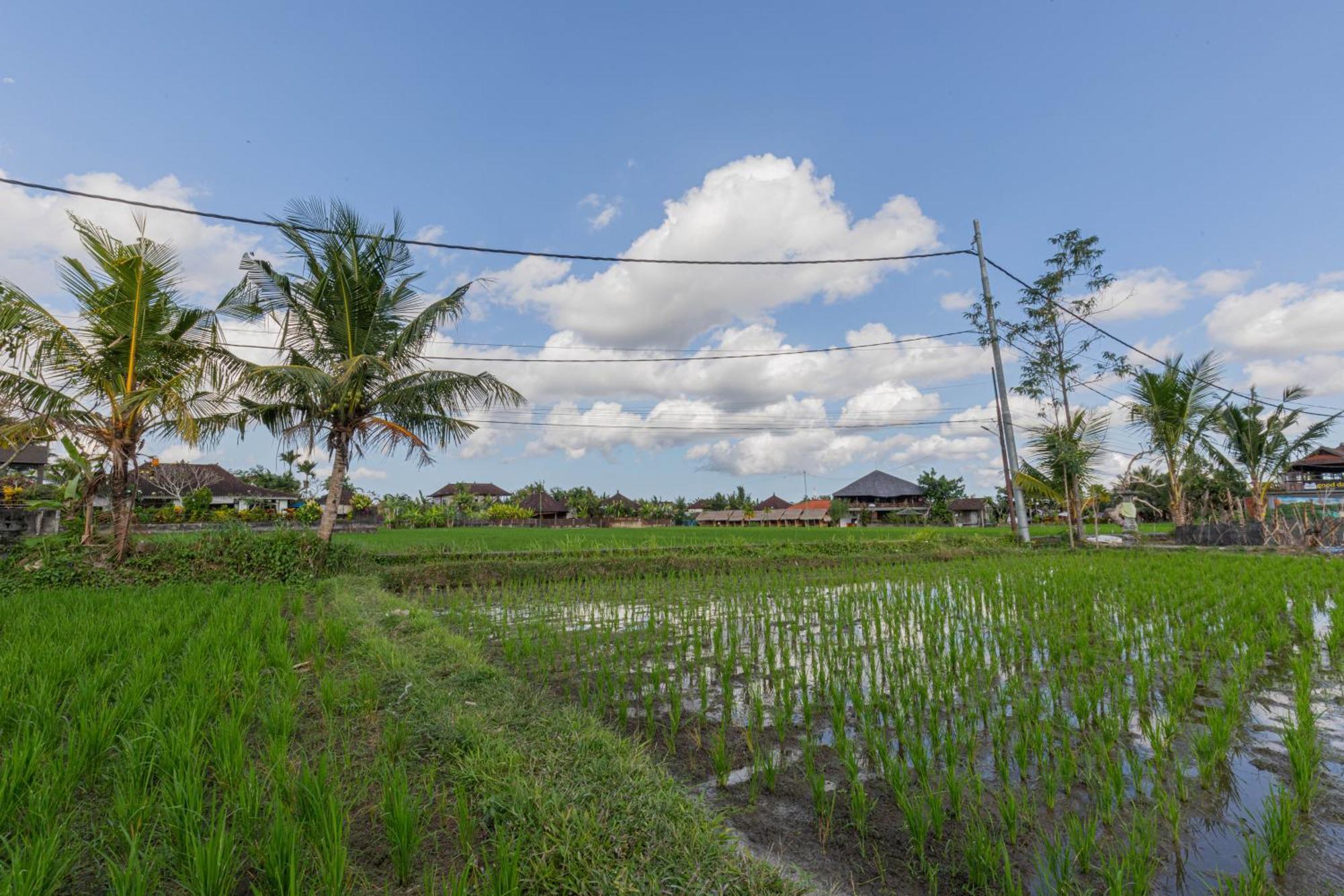 Niluh Private Villas Ubud  Exterior photo